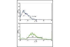 Flow Cytometry (FACS) image for anti-Platelet Derived Growth Factor Receptor beta (PDGFRB) (AA 40-72), (N-Term) antibody (ABIN392034)