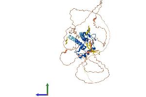 AlphaFold protein structure predicition of Human Recombinant TESMIN Protein, UniprotID Q9Y4I5