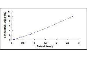 Typical standard curve (KRT8 ELISA 试剂盒)