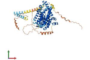 Protein Structure (PS) image for phosphodiesterase 1B, Calmodulin-Dependent (PDE1B) (AA 1-536) protein (His tag) (ABIN7550688)