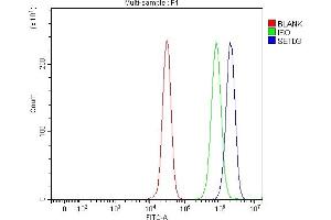 Flow Cytometry analysis of 293T cells using anti-SETD3 antibody (ABIN7600293).