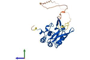 Protein Structure (PS) image for CTD (Carboxy-terminal Domain, RNA Polymerase II, Polypeptide A) Small Phosphatase 1 (CTDSP1) (AA 1-261) protein (His tag) (ABIN7546864)