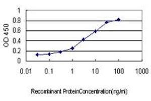 Detection limit for recombinant GST tagged BIK is approximately 0. (BIK 抗体  (AA 37-136))