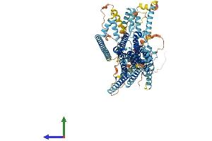 AlphaFold protein structure predicition of Mouse Recombinant Tmc6 Protein, UniprotID Q7TN60