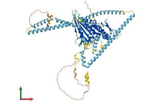 Protein Structure (PS) image for Kinesin Family Member 3A (KIF3A) (AA 1-699) protein (His tag) (ABIN7548784)