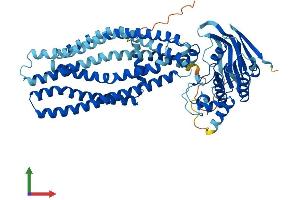 Protein Structure (PS) image for ATP-Binding Cassette, Sub-Family D (Ald), Member 4 (ABCD4) (AA 1-606) protein (His tag) (ABIN7562703)