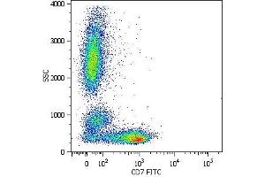 Surface staining of human peripheral blood cells with anti-human CD7 (MEM-186) FITC. (CD7 抗体  (APC))