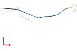 AlphaFold protein structure predicition of Human Recombinant C20orf96 Protein, UniprotID Q9NUD7