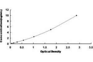 Typical standard curve (Neurogenin 3 ELISA 试剂盒)