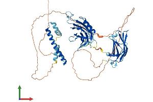Protein Structure (PS) image for Synaptotagmin Like Protein 1 (SYTL1) (AA 1-567) protein (His tag) (ABIN7560435)