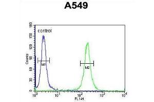 TM168 Antibody (C-term) flow cytometric analysis of A549 cells (right histogram) compared to a negative control cell (left histogram). (TMEM168 抗体  (C-Term))