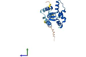 AlphaFold protein structure predicition of Human Recombinant MYL12A Protein, UniprotID P19105