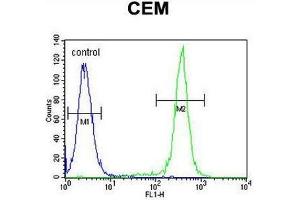 CCDC122 Antibody (C-term) flow cytometric analysis of CEM cells (right histogram) compared to a negative control cell (left histogram). (CCDC122 抗体  (C-Term))