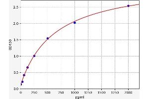 Netrin 1 (NTN1) ELISA Kit