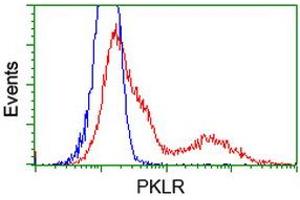 Flow Cytometry (FACS) image for anti-Pyruvate Kinase, Liver and RBC (PKLR) antibody (ABIN1500249) (PKLR 抗体)