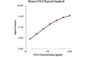 ELISA image for Chemokine (C-C Motif) Ligand 3 (CCL3) ELISA Kit (ABIN3198410)