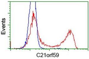 HEK293T cells transfected with either RC200169 overexpress plasmid (Red) or empty vector control plasmid (Blue) were immunostained by anti-C21orf59 antibody (ABIN2452868), and then analyzed by flow cytometry. (C21orf59 抗体)