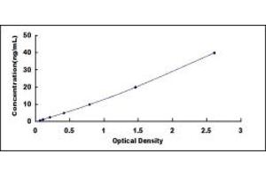 Typical standard curve (ENO2/NSE ELISA 试剂盒)