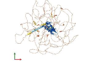 AlphaFold protein structure predicition of Mouse Recombinant Rusc2 Protein, UniprotID Q80U22