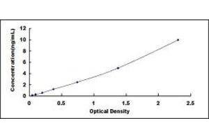 Typical standard curve (TOLLIP ELISA 试剂盒)