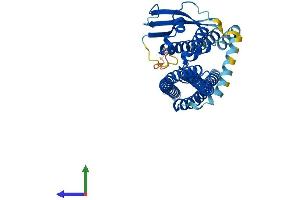 Protein Structure (PS) image for Sorting Nexin 6 (SNX6) (AA 1-406) protein (His tag) (ABIN7555596)