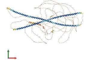 Protein Structure (PS) image for Neurofilament, Heavy Polypeptide (NEFH) (AA 1-1090) protein (His tag) (ABIN7562937)