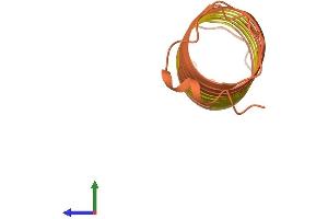 Protein Structure (PS) image for Keratin Associated Protein 6-2 (KRTAP6-2) (AA 1-159) protein (His tag) (ABIN7562218)