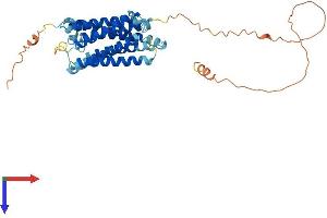 Transmembrane Protein, Adipocyte Asscociated 1 (TPRA1) (AA 1-369) protein (His tag)
