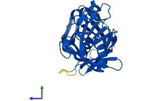 Protein Structure (PS) image for Phenazine Biosynthesis-Like Protein Domain Containing 1 (PBLD1) (AA 1-288) protein (His tag) (ABIN7561333)