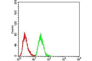 Flow cytometric analysis of Hela cells using phospho-NLRC4(Ser-533) rat mAb (green) and negative control (red). (NLRC4 抗体  (pSer533))