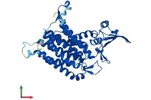 AlphaFold protein structure predicition of Human Recombinant DPAGT1 Protein, UniprotID Q9H3H5