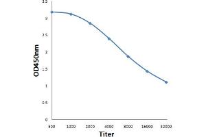 Antigen: 0. (HNRNPA2B1 抗体)