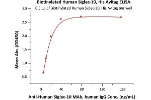 ELISA image for Sialic Acid Binding Ig-Like Lectin 10 (SIGLEC10) (AA 17-546) protein (His tag,AVI tag,Biotin) (ABIN6938925)