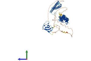 Protein Structure (PS) image for Formin Binding Protein 1 (FNBP1) (AA 1-617) protein (His tag) (ABIN7553976)