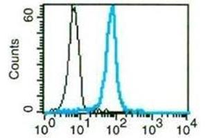 Flow Cytometry (FACS) image for anti-Carcinoembryonic Antigen-Related Cell Adhesion Molecule 1 (CEACAM1) antibody (FITC) (ABIN1106524) (CEACAM1 抗体  (FITC))