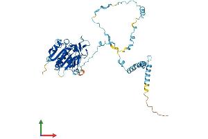 AlphaFold protein structure predicition of Human Recombinant IFT52 Protein, UniprotID Q9Y366