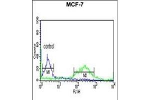 ETS2 Antibody (Center) (ABIN653803 and ABIN2843080) flow cytometric analysis of MCF-7 cells (right histogram) compared to a negative control cell (left histogram). (ETS2 抗体  (AA 146-173))