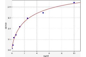 Typical standard curve (DPYD ELISA 试剂盒)