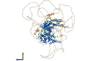 Protein Structure (PS) image for RAD54-Like 2 (RAD54L2) (AA 1-1466) protein (His tag) (ABIN7564918)