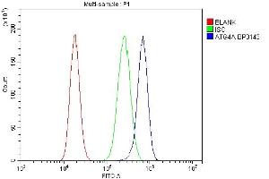 Flow Cytometry analysis of PC-3 cells using anti-ATG4A antibody (ABIN7603108).