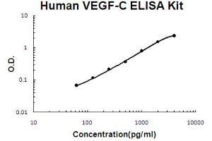 Human VEGF-C Accusignal ELISA Kit Human VEGF-C AccuSignal ELISA Kit standard curve.