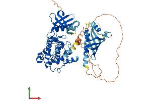 Protein Structure (PS) image for Calcium/calmodulin-Dependent Protein Kinase II beta (CAMK2B) (AA 1-542) protein (His tag) (ABIN7563055)