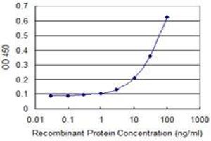 Detection limit for recombinant GST tagged SIRT4 is 1 ng/ml as a capture antibody. (SIRT4 抗体  (AA 215-314))