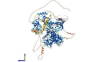 Protein Structure (PS) image for Tudor Domain Containing 1 (TDRD1) (AA 1-1180) protein (His tag) (ABIN7555706)