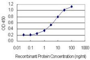 Detection limit for recombinant GST tagged HKR1 is 0. (HKR1 抗体  (AA 191-290))