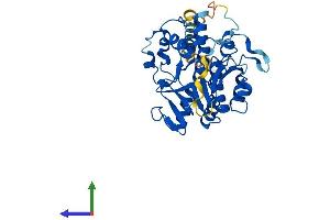 Protein Structure (PS) image for alpha 1, 4-Galactosyltransferase (A4GALT) (AA 1-353) protein (His tag) (ABIN7551782)