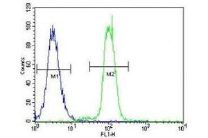 KLF4 antibody flow cytometric analysis of K562 cells (right histogram) compared to a negative control (left histogram).