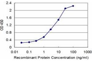 Detection limit for recombinant GST tagged RFC1 is approximately 0.