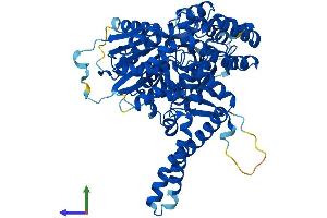 AlphaFold protein structure predicition of Human Recombinant VPS33A Protein, UniprotID Q96AX1 (VPS33A Protein (AA 1-596) (His tag))