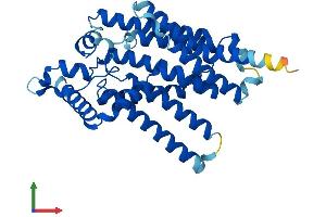 AlphaFold protein structure predicition of Mouse Recombinant G6pc1 Protein, UniprotID P35576